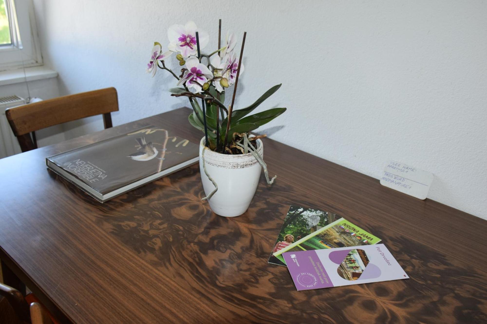 Apartma Narava Begunje pri Cerknici Værelse billede